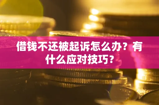 北京借钱不还被起诉怎么办？有什么应对技巧？